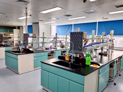 Hur man förhindrar gastrointestinal ödem sjukdom av gris?